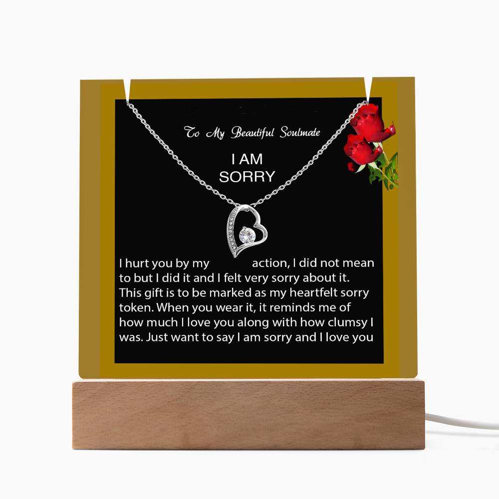 Keepsake Acrylic Bundle with Forever Love Necklace - I am Sorry, I hurt you...