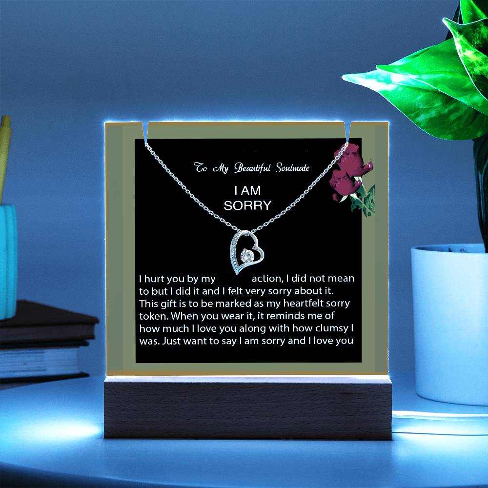 Keepsake Acrylic Bundle with Forever Love Necklace - I am Sorry, I hurt you...