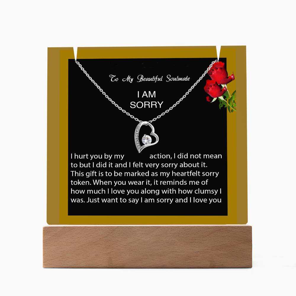 Keepsake Acrylic Bundle with Forever Love Necklace - I am Sorry, I hurt you...