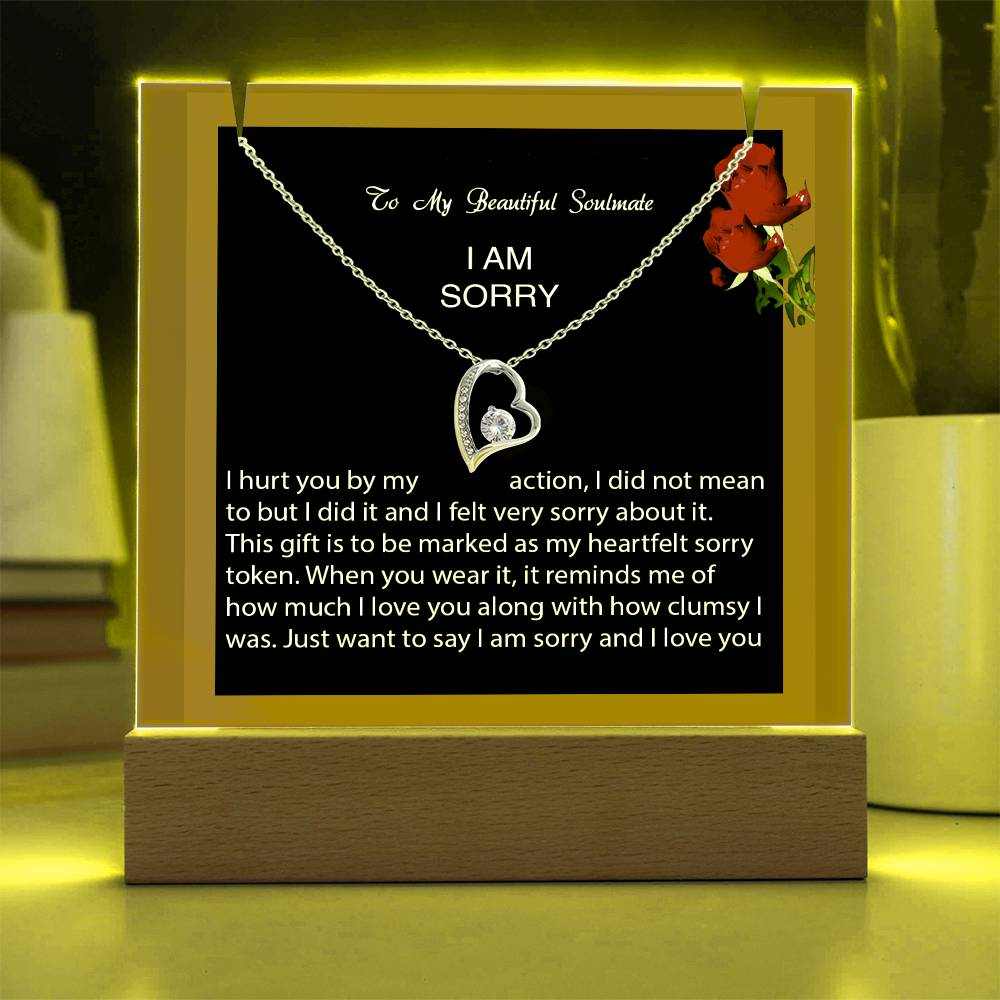 Keepsake Acrylic Bundle with Forever Love Necklace - I am Sorry, I hurt you...