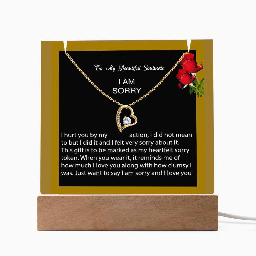 Keepsake Acrylic Bundle with Forever Love Necklace - I am Sorry, I hurt you...