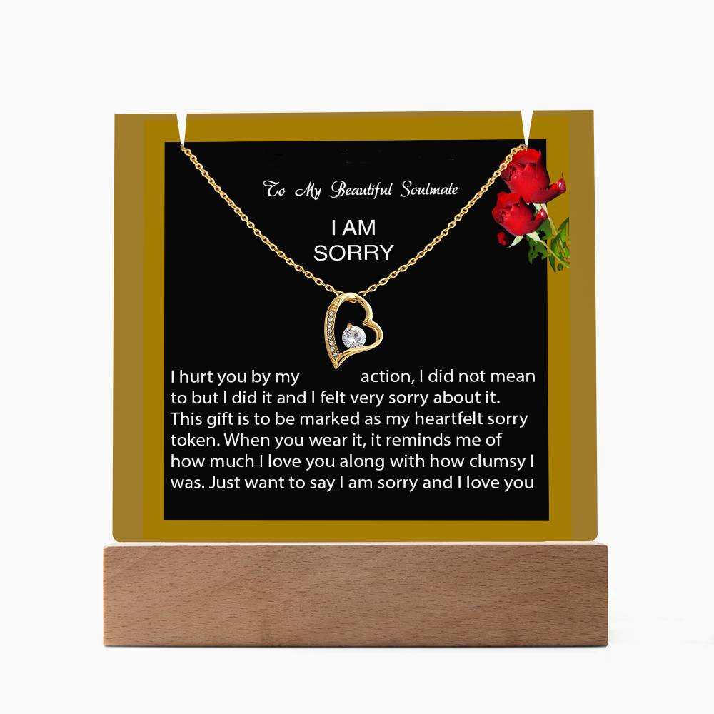 Keepsake Acrylic Bundle with Forever Love Necklace - I am Sorry, I hurt you...