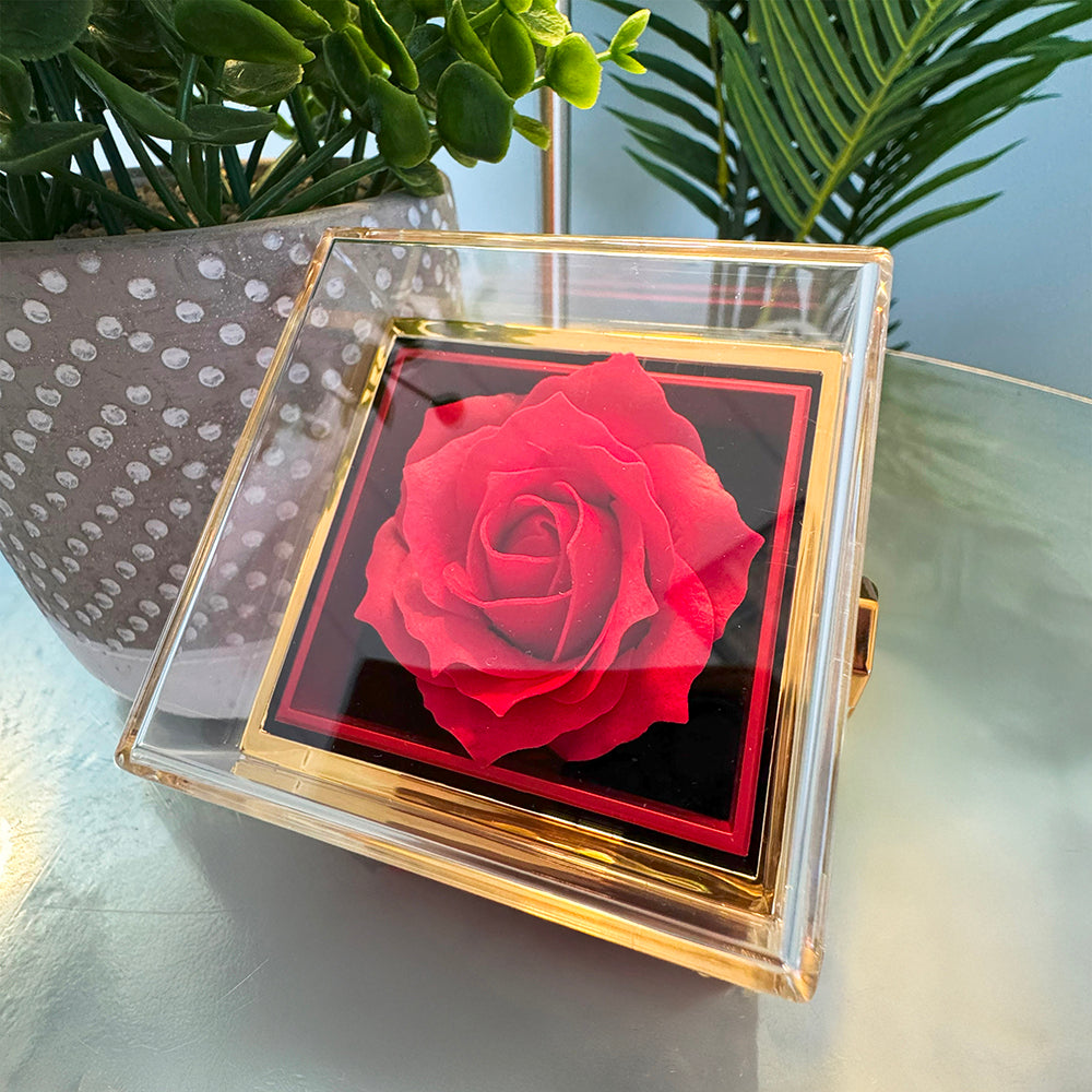 Eternal Rose Jewelry Box Necklace Gift Set – Mother's Day Gift for Mom, Romantic Rose Jewelry Box